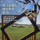 예산목장 | [예산 가볼만 한곳] 드넓은 초원의 힐링, 당진·예산 아그로랜드 태신목장 솔직 방문 후기