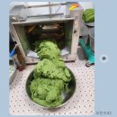 떡국떡 모시송편 판매합니다.. 이미지