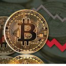 비트코인 이미지