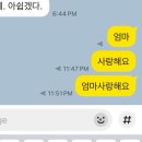 디티코리아 | 몽골 여행 완벽 정리 + 후기 [3] + 싸이 흠뻑쇼 &amp; 일상 복귀