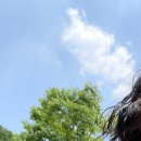 실브커피 | 아산 실브커피 노을멜론이 들어간 통멜론 케이크 후기