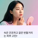 (주)솔루션에스 | 🧴 의정부호원동피부관리 – 속은 건조하고 겉은 번들?에스뷰티샵에서 유수분 밸런스 딱 맞춘 후기 공개