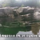 계곡 유투버 채널 영상 가운데 최다 조회수를 기록한 계곡 이미지