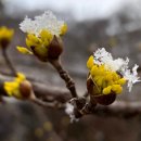 시인공간 이미지