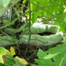 순연농장 이미지