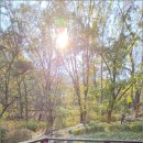 사계절환경 이미지