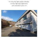 사파리모텔 이미지