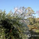 송암리 농장 이미지