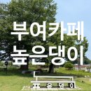 [부여 카페] 높은댕이 감성 한옥카페, 전통과 예술이 어우러진 뷰가좋은 카페