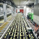 주식회사부동산중개법인연 이미지