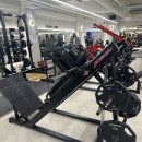 귤현초등학교 | 귤현동 헬스장, 여기서 인생 몸매 만들어요!