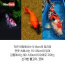 코이 - 미추홀구 경인로 158 | 코이