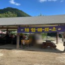 양양 여행 해담마을휴양지 수륙양용차 체험 후기 (ft. 어른도 꿀잼)