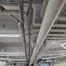 삼안로R 이미지