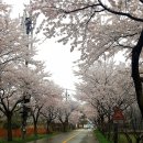 (주)월곡영화골 이미지