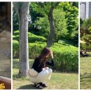 스튜디오 유달리