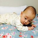 백만불PC 이미지