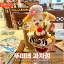 뚜띠빈 | 뚜띠네 과자점 단계동디저트카페 평일 오후 데이트 후기