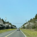 제주윈스톤 이미지