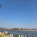 덕포6리마을회관 | 부산 강서구 카페 비아조｜낙동강뷰 대형카페