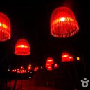 빛의 소나타 이미지