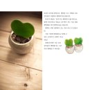 행복한수 협동조합 이미지