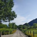 북면수변공원(다목적광장) 이미지