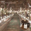 워시카페 이미지