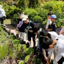 정미초교 이미지