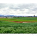 하늘구름목장 이미지