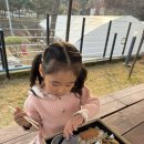 경기도 양평군 양평유치원 | 양평 모담도시락 — 아이들과 곤충체험 후 맛본 정성 가득한 수제 도시락 후기