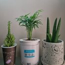 (주)트리플래닛 이미지