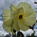 상북면행정복지센터 이미지