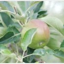 윤길농장 이미지