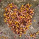 노후설계상담사 1급 과정 이미지