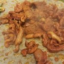 오리사랑 이미지