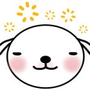 루체인알티스 이미지