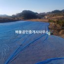 남면민박 이미지