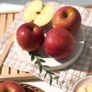 북안동농협 이미지