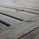 명도그오토캠핑장 | 명도그오토캠핑장 선택 전 볼 핵심 정보