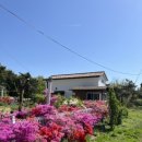 엘린휴버트 이미지