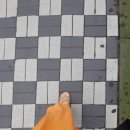 서정교회어린이집 | 라비던스 서울 팬텀싱어 갈라 콘서트 16일 공연 후기 살짝 스포 포함 존노님 실물 어쩜좋아 차이나는...