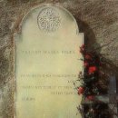 장미공원A 이미지