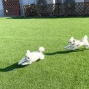 생글댕글 이미지