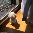 먹다