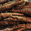 횡성 청일면사무소 이미지