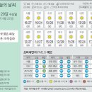 29 이미지