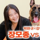 치트키 써버린 강형욱 유튜브 이미지