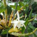 선달농장 이미지