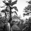 추억(MEMORIE 이미지